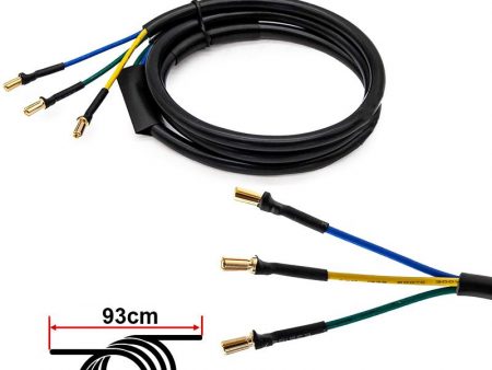 cable motor 1200W para Dualtron Mini [MINIMOTORS]