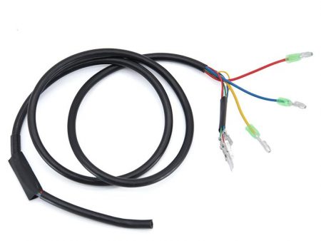 cable motor 90cm 800W para Smartgyro Speedway/Rockway