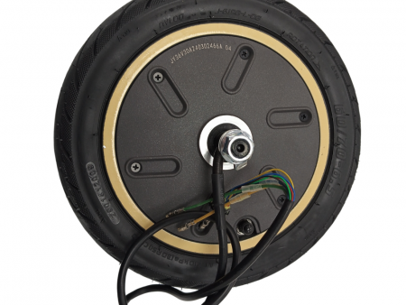 400W Motor + 60/70-6.5 (10*2.50-6.5) Neumático Cámara Zfox Max Autumn Sunrise